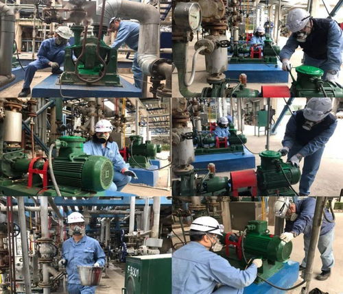 匠心铸就卓越——记合成橡胶厂丁苯区域丁苯前序化工二班的高品质之路